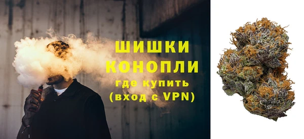 сатива Гусиноозёрск
