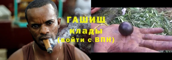 сатива Гусиноозёрск