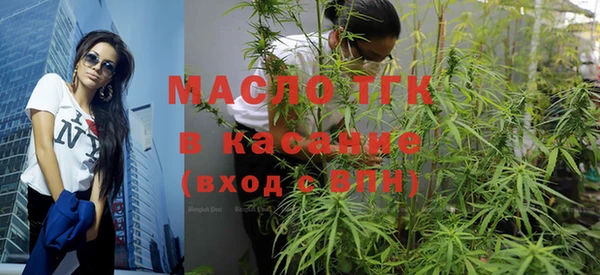 сатива Гусиноозёрск