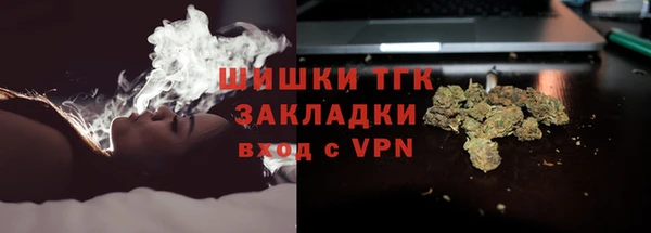 сатива Гусиноозёрск