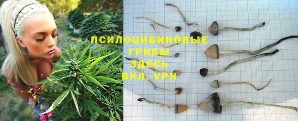 герыч Гусев