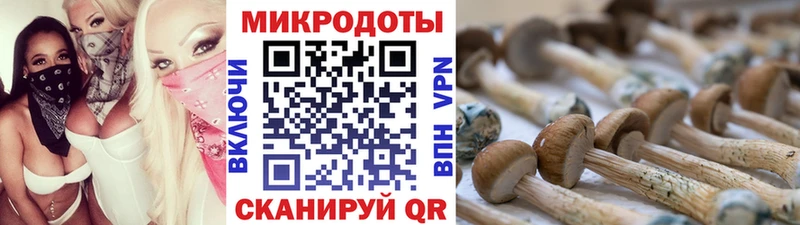 Галлюциногенные грибы Magic Shrooms  Купить закладки  Тихвин 