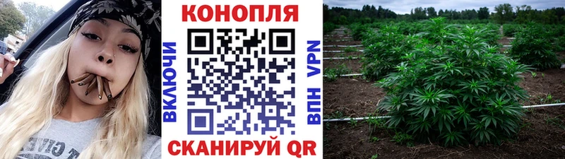 Купить где  Тихвин  Бошки Шишки план 